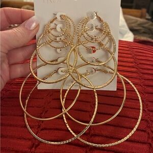 Time and Tru Gold Textured Hoop Earrings Set